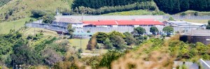 img_1332